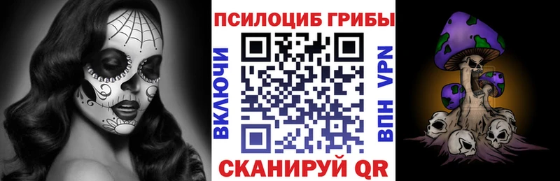 хочу наркоту  mega как войти  Псилоцибиновые грибы Psilocybe  Волгоград 